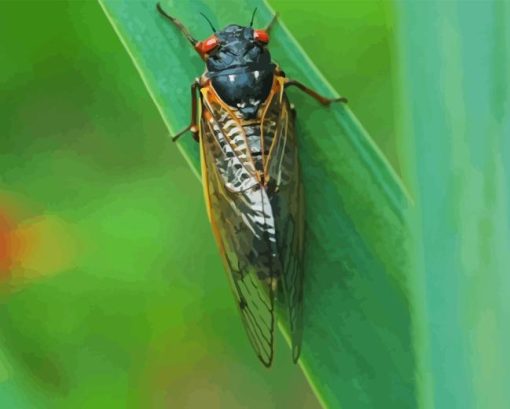 Insect Cicadas Diamond Painting