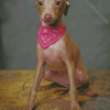 Little Italian Greyhound Diamond Painting