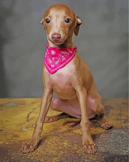 Little Italian Greyhound Diamond Painting