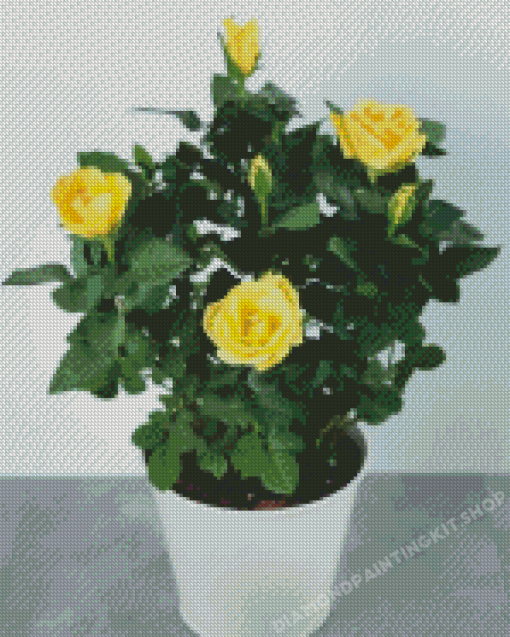 Yellow Austrian Briar Rose In White Pot Diamond painting