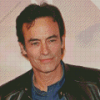 Anthony Delon Diamond Painting