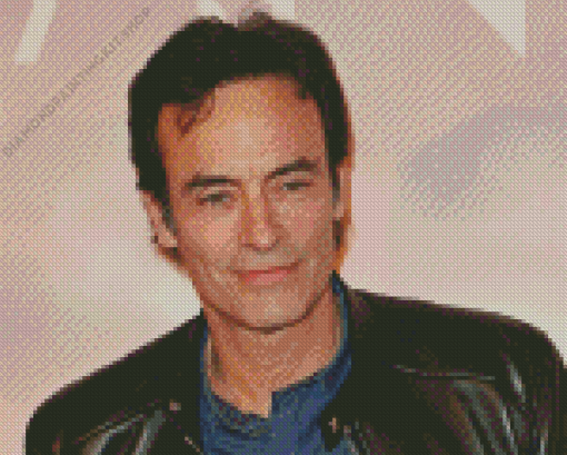 Anthony Delon Diamond Painting