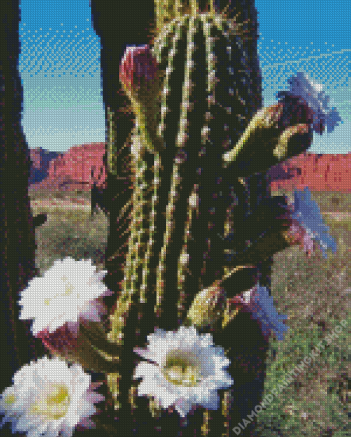 Echinopsis Terscheckii Diamond Painting