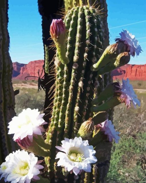 Echinopsis Terscheckii Diamond Painting