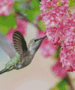 Hummingbird and Pink Flowers Diamond Painting