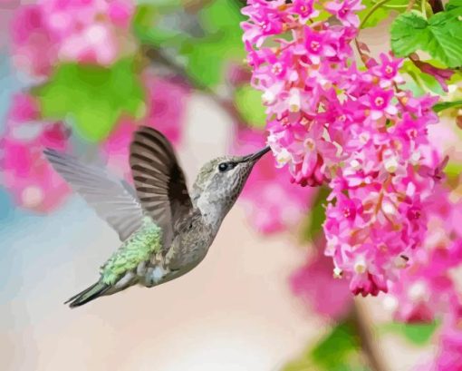 Hummingbird and Pink Flowers Diamond Painting