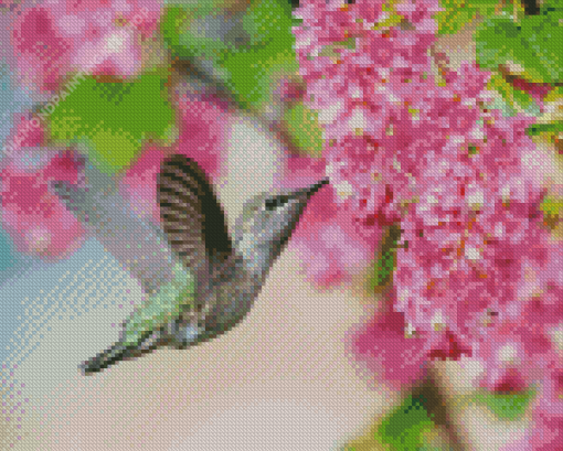 Hummingbird and Pink Flowers Diamond Painting