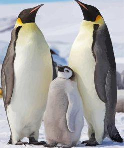 King Penguin Family Diamond Painting