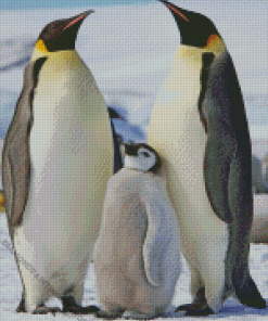 King Penguin Family Diamond Painting