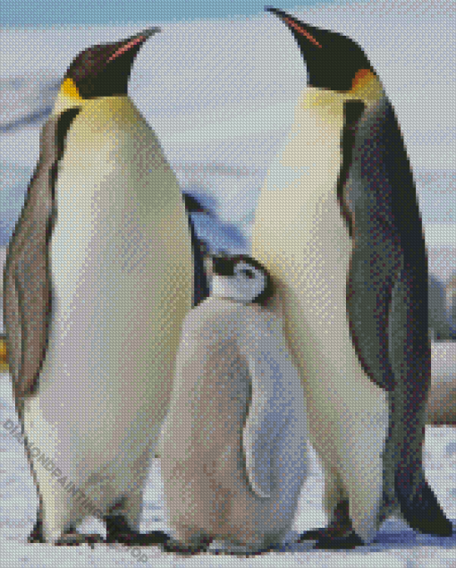 King Penguin Family Diamond Painting