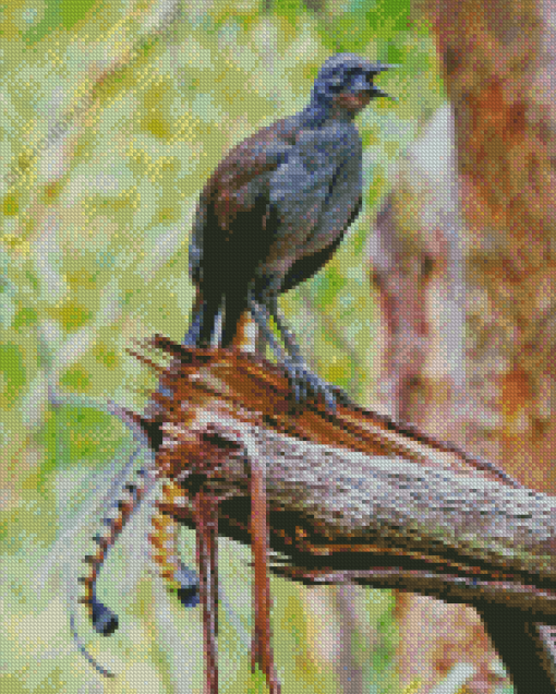 Lyrebird on Broken Branch Diamond Painting