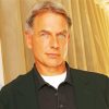 Mark Harmon Diamond Painting