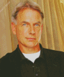 Mark Harmon Diamond Painting