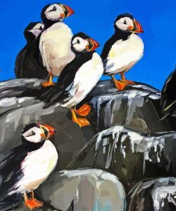 Abstract Puffins on Rocks Diamond Painting