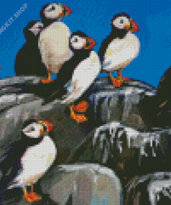 Abstract Puffins on Rocks Diamond Painting