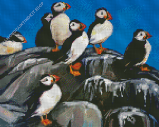 Abstract Puffins on Rocks Diamond Painting