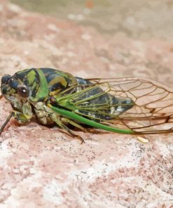 Green Cicadas Diamond Painting