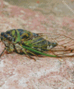 Green Cicadas Diamond Painting