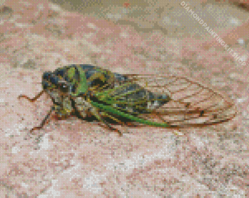 Green Cicadas Diamond Painting