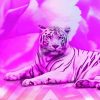 Tiger in Pink Diamond Painting