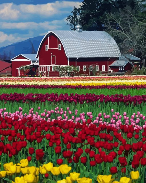 Barn in Tulip Field Diamond Painting