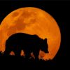 Bear in Moonlight Silhouette Diamond Painting