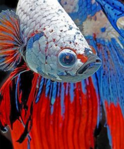 Betta Fish Diamond Painting