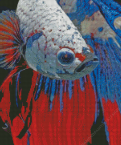 Betta Fish Diamond Painting