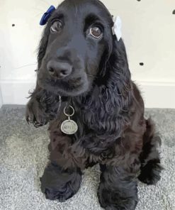 Black Spaniel Diamond Painting