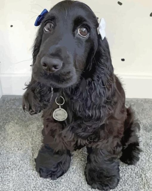 Black Spaniel Diamond Painting