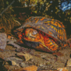 Box Turtles Diamond Painting