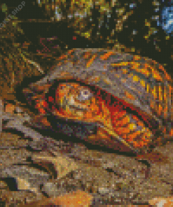 Box Turtles Diamond Painting