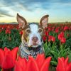 Brown Dog In Tulips Field Diamond Painting