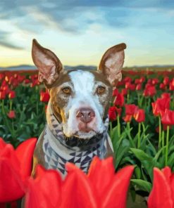 Brown Dog In Tulips Field Diamond Painting