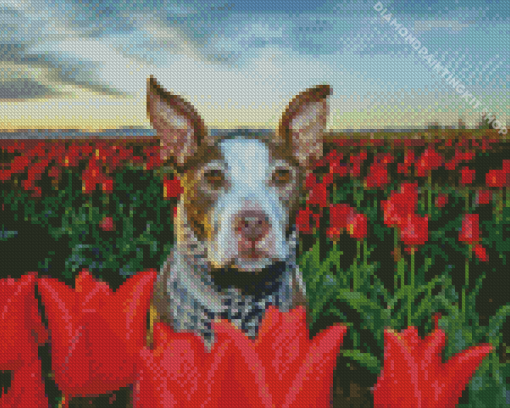 Brown Dog In Tulips Field Diamond Painting