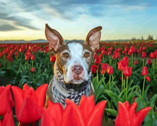 Brown Dog In Tulips Field Diamond Painting