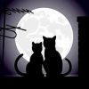 Cats Love with Moon Diamond Painting