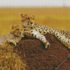 Cheetah And Cubs Diamond Painting