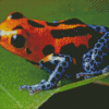 Dart Frogs Diamond Painting