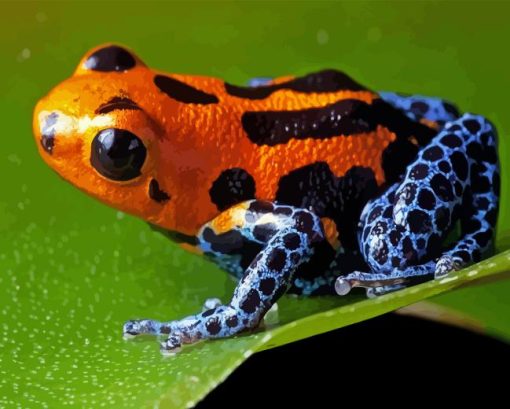 Dart Frogs Diamond Painting