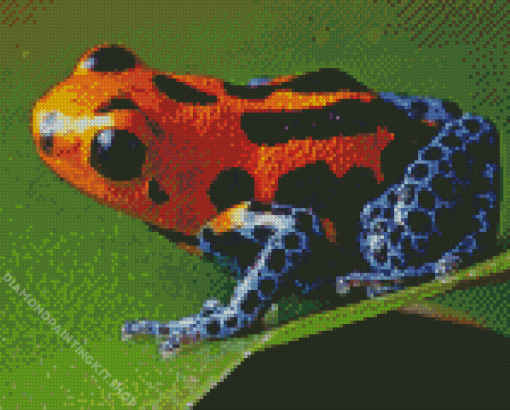 Dart Frogs Diamond Painting