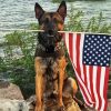 Dog Holding an American Flag Diamond Painting