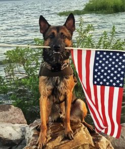 Dog Holding an American Flag Diamond Painting