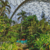 Eden Project Diamond Painting