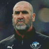 Eric Cantona Diamond Painting