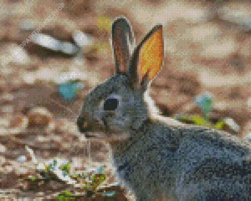 European Rabbit Diamond Painting