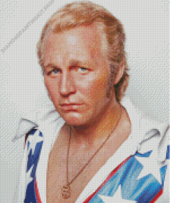 Evel Knievel Diamond Painting