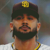 Fernando Tatis Jr Diamond Painting