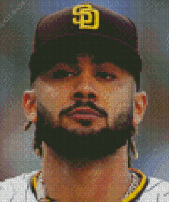 Fernando Tatis Jr Diamond Painting