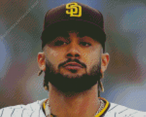 Fernando Tatis Jr Diamond Painting